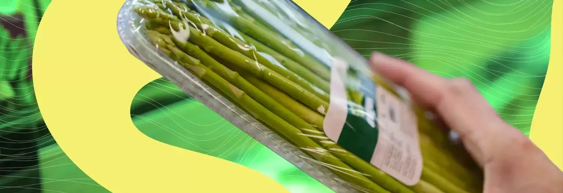 Innovative Storage Solutions for Fresh Produce