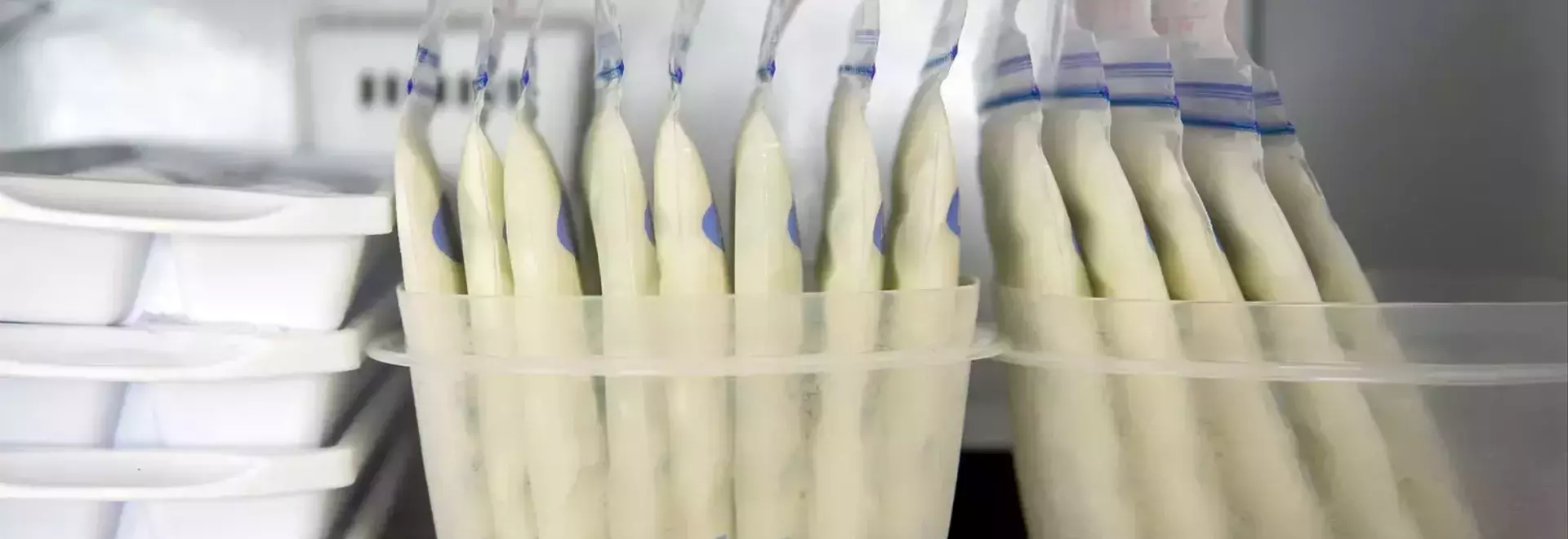 Understanding and Managing High Lipase in Breast Milk