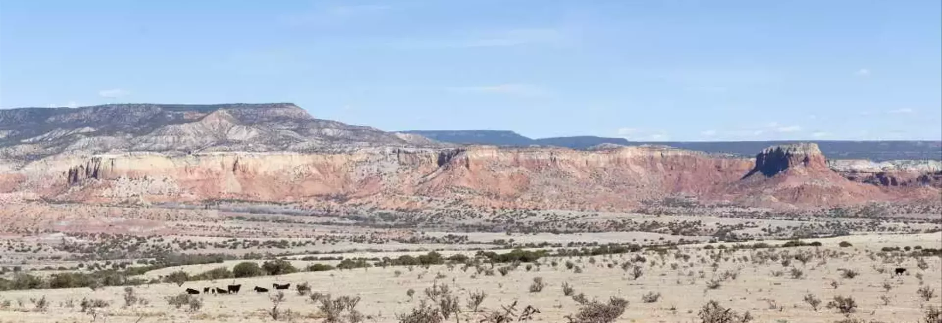 Reconsidering Georgia O'Keeffe's Legacy and Preserving Her Beloved Landscape