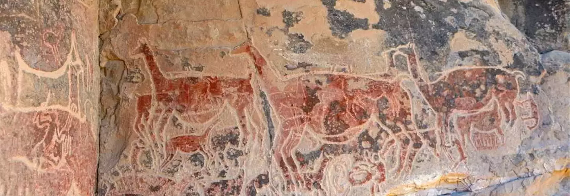 Prehistoric Culinary Sophistication Revealed