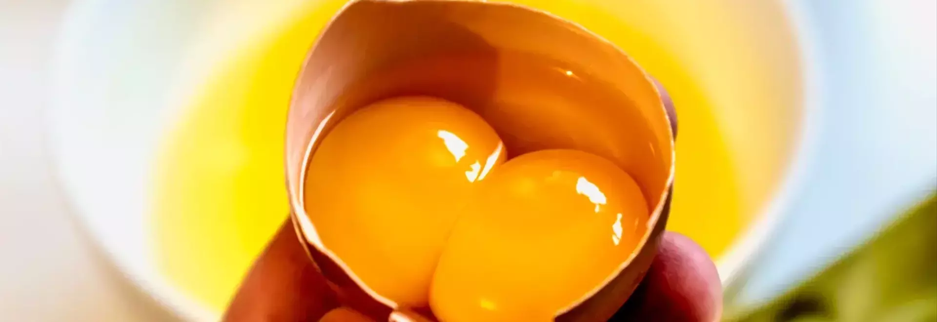 The Enigmatic World of Double-Yolked Eggs