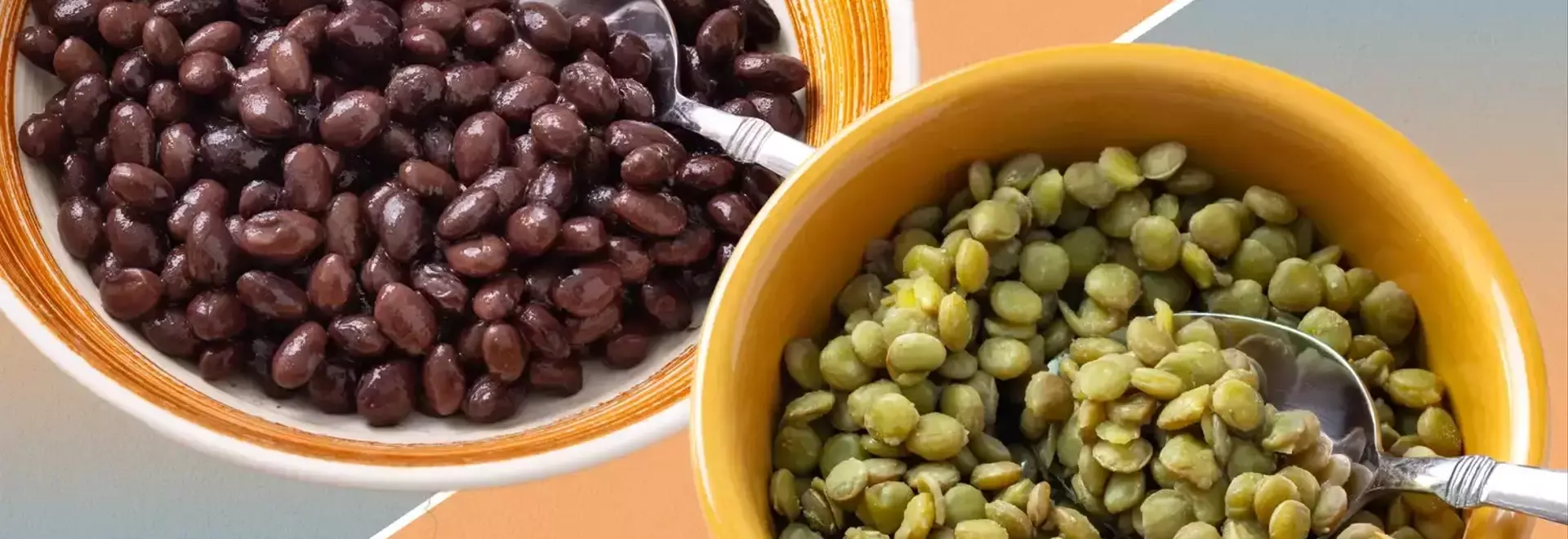 Beans vs. Lentils: Which is Easier to Digest?