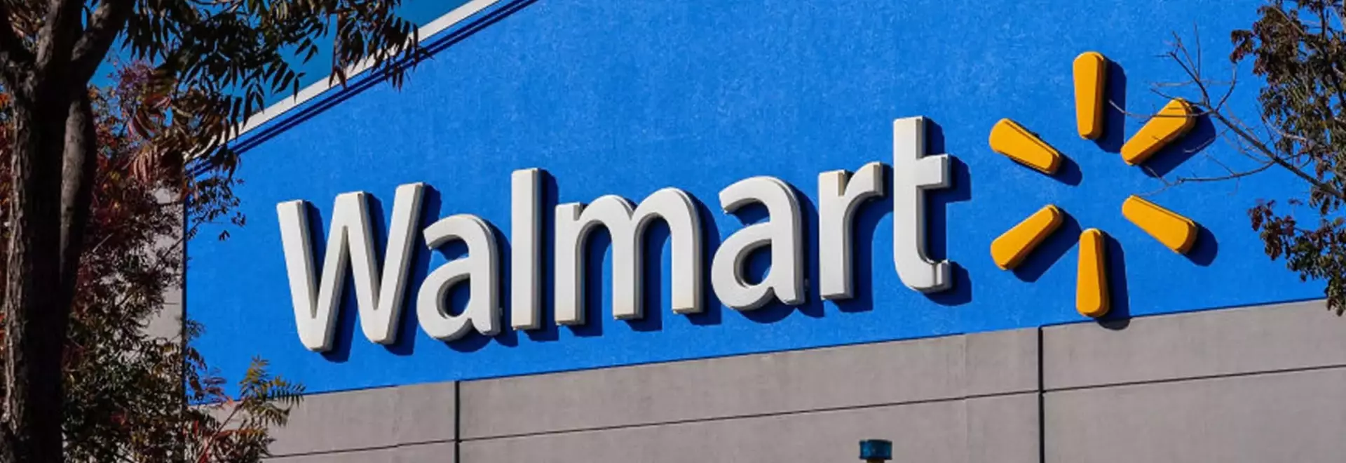 Walmart Offers Significant Discount on Heavy-Duty Carport