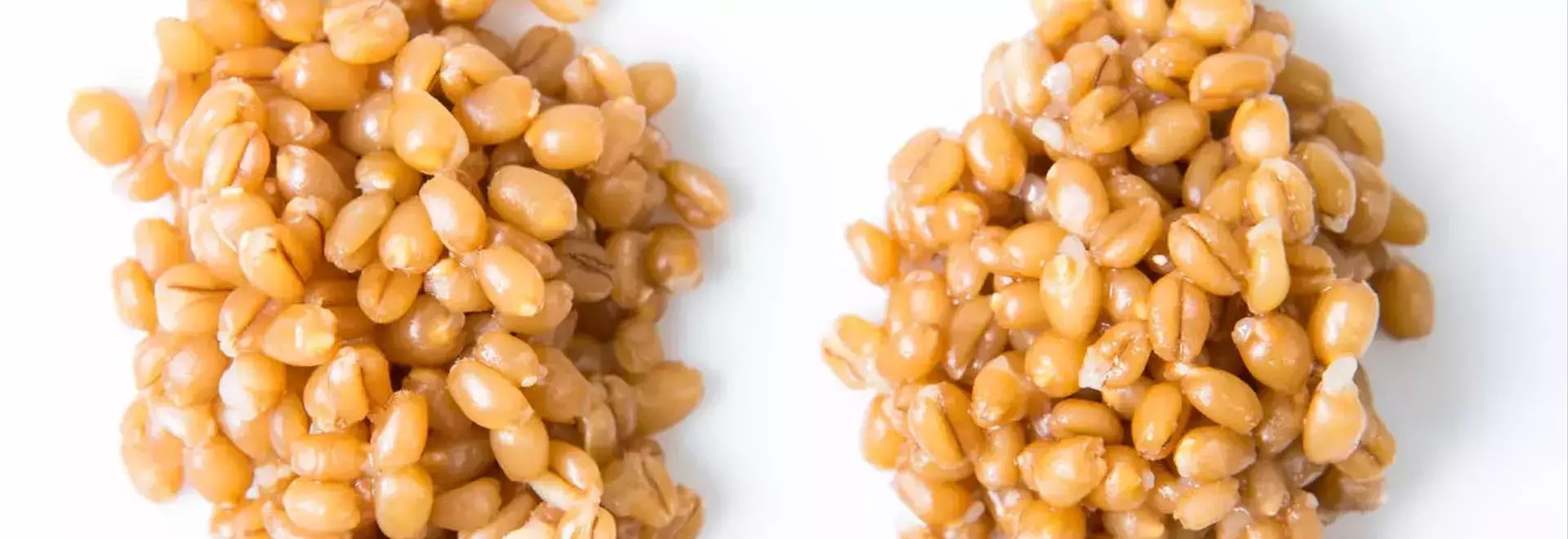 Pressure Cookers and Grains: An Unexpected Outcome