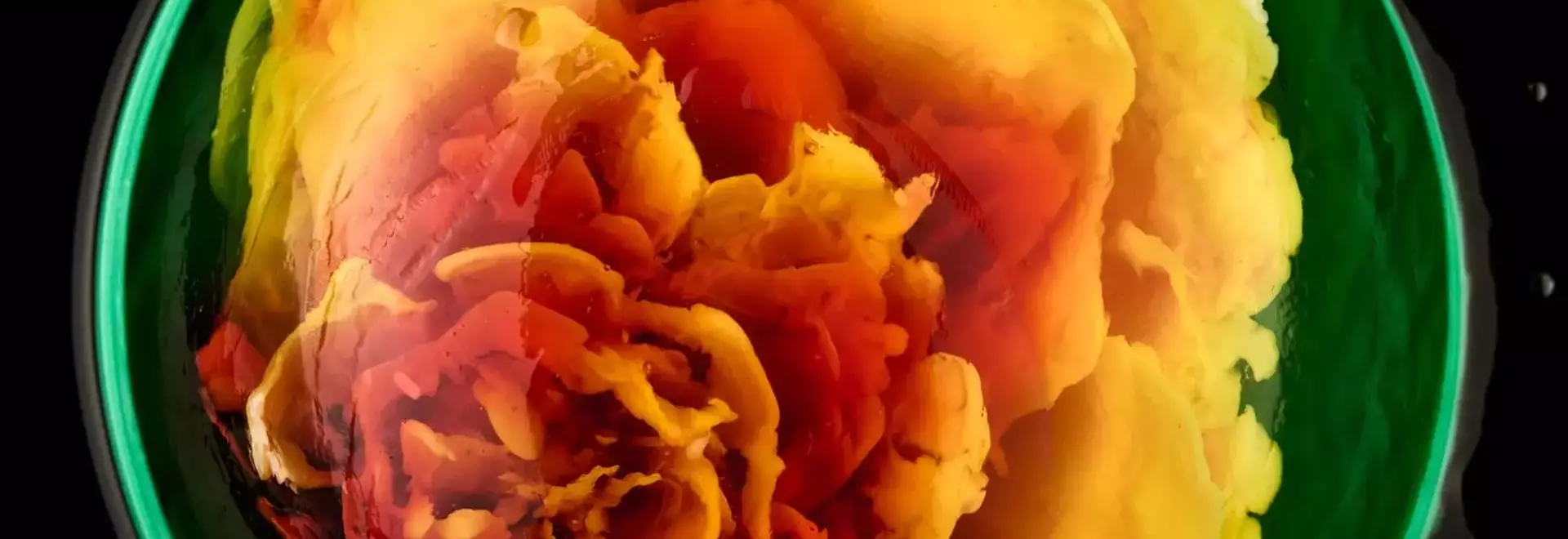 The Art of Jelly: Thu Buser's Edible Masterpieces