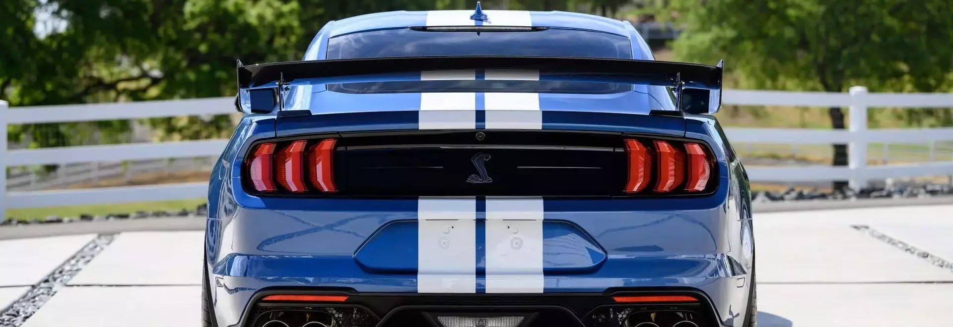 Ford's Strategic Shift: Dropping the Shelby Name for Financial Gains and Brand Reinvigoration
