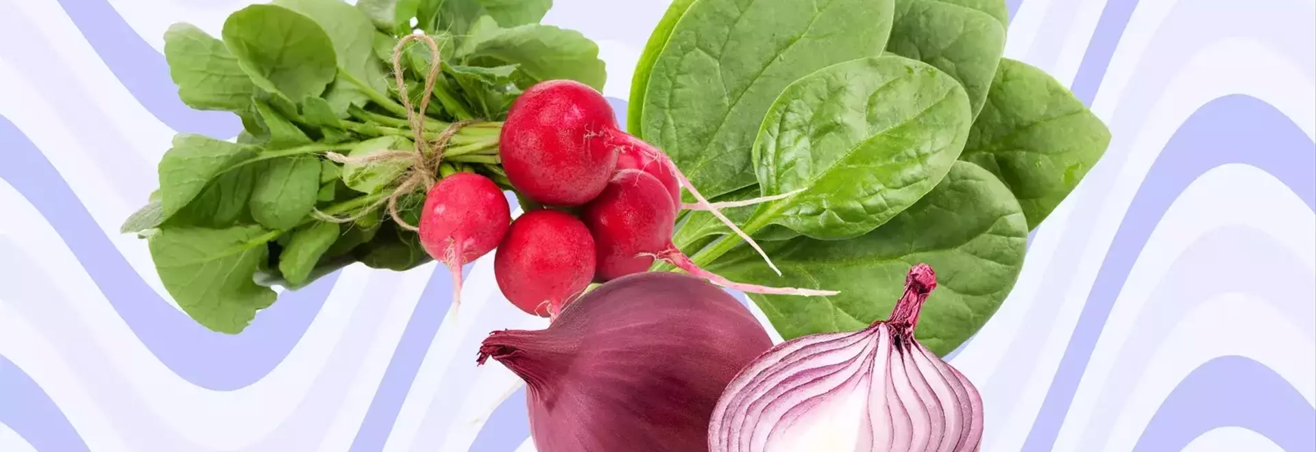 Maximizing Nutrition: The Benefits of Raw Foods