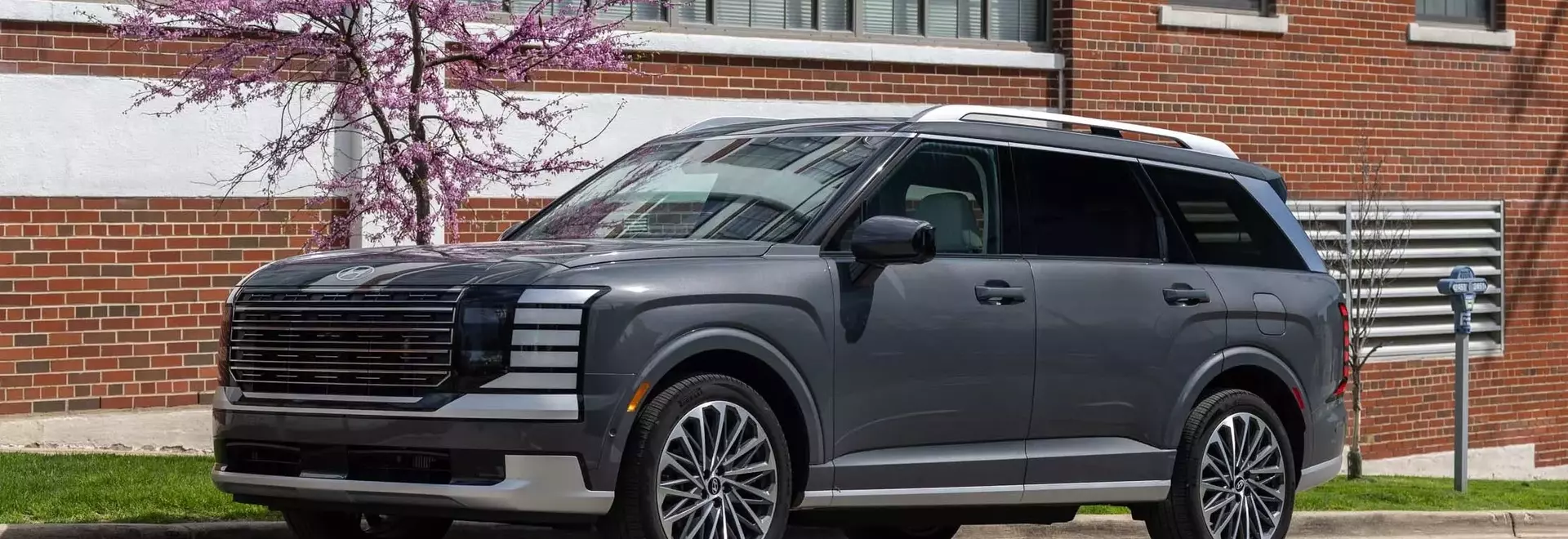 2026 Hyundai Palisade Hybrid: Long-Term Test