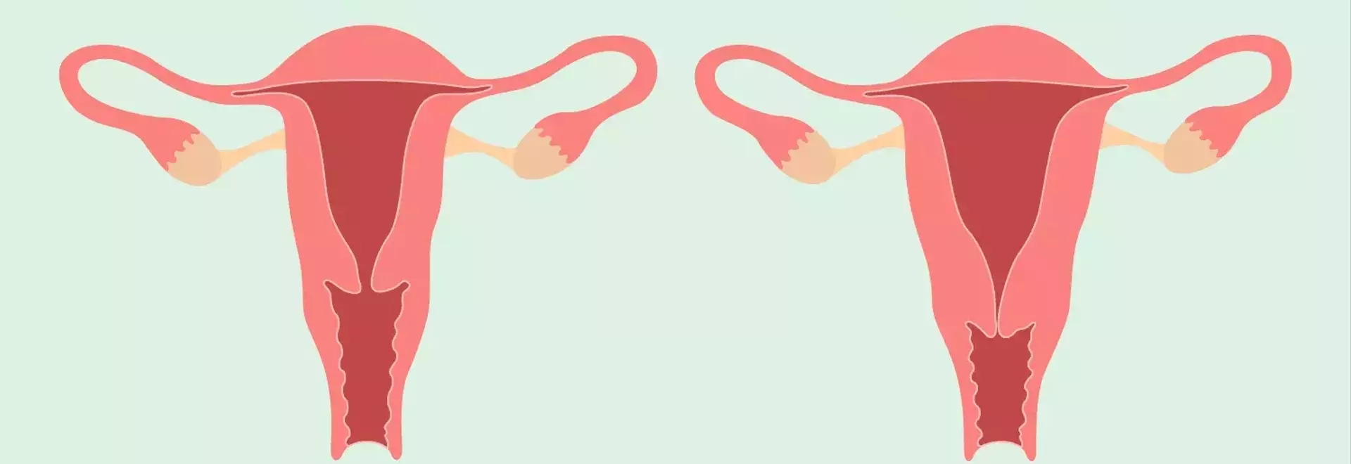 Understanding Your Cervix: A Guide to Self-Examination
