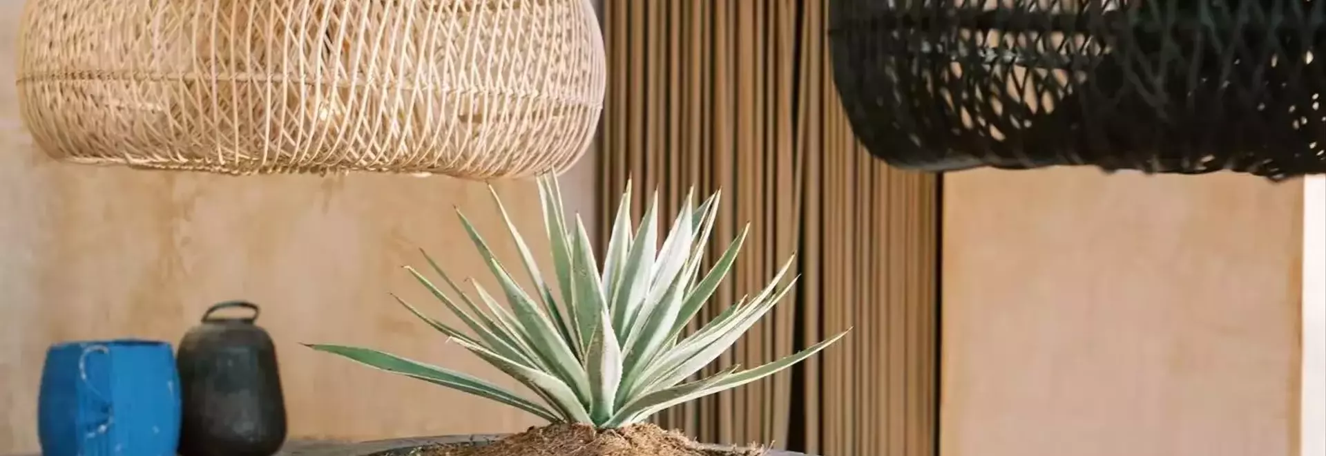 Rosewood Mandarina: A Culinary Journey in Riviera Nayarit