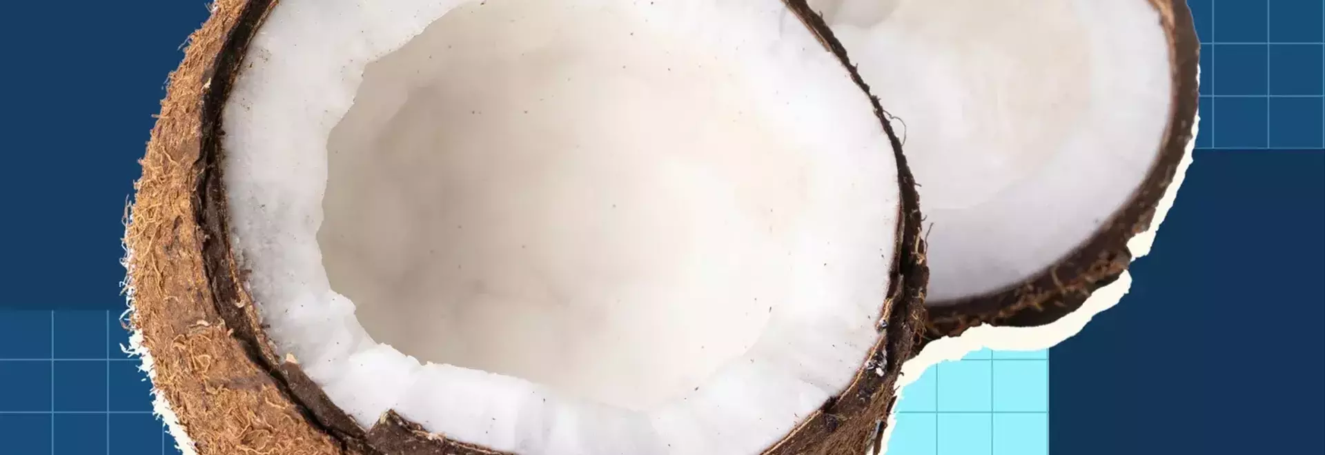 The Comprehensive Guide to Coconuts and Their Culinary Applications