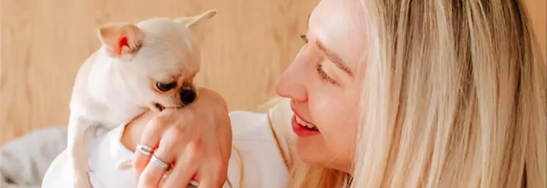 Understanding and Managing Your Dog's Nibbling Behavior