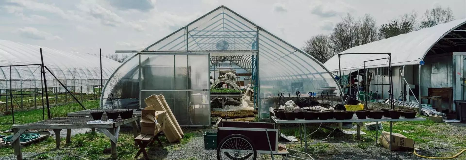Korean Culinary Masters Establish "First Hand Farm" in Hudson Valley to Cultivate Traditional Ingredients