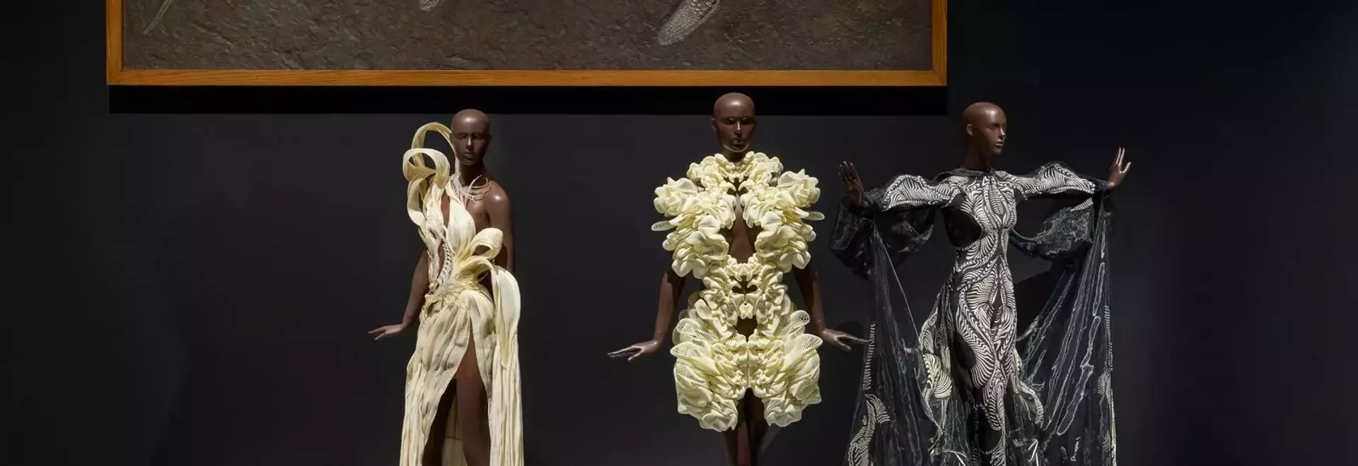 Iris van Herpen's "Sculpting the Senses" Exhibition: A Mid-Career Retrospective at the Brooklyn Museum
