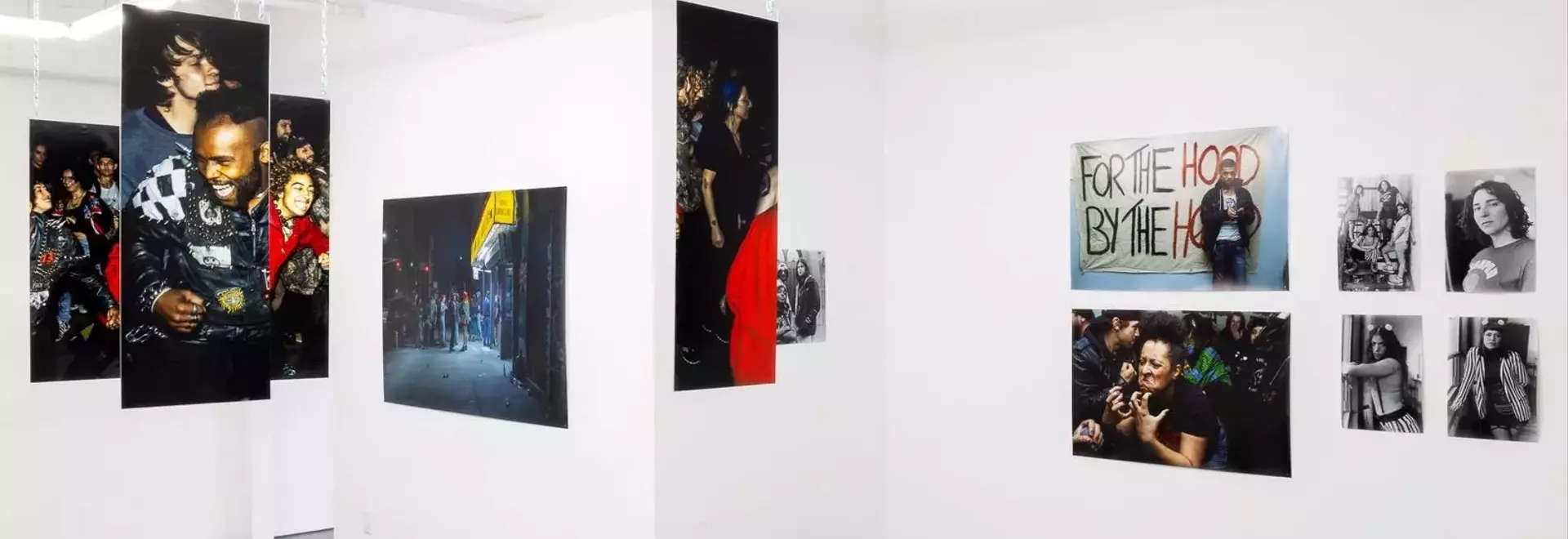 Signals: Elevating Photographic Narratives Beyond Creation