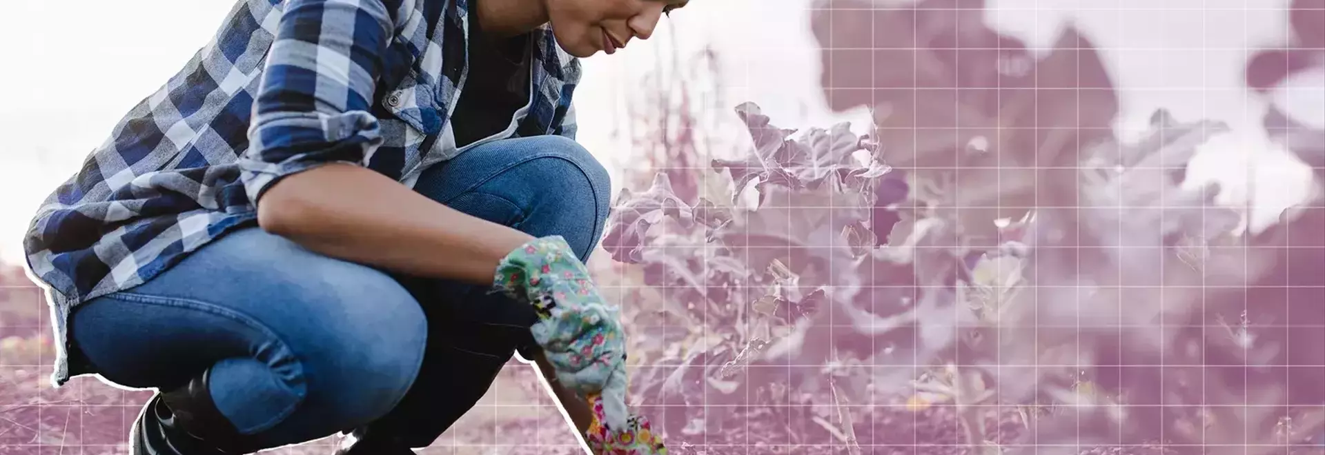 Transforming Your Garden: Innovative Uses for Everyday Food Scraps