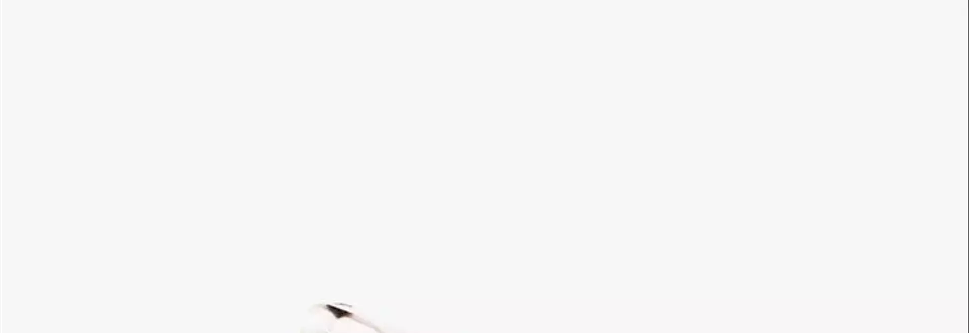 Summer Sneaker Style Guide: Effortless Looks for Every Occasion