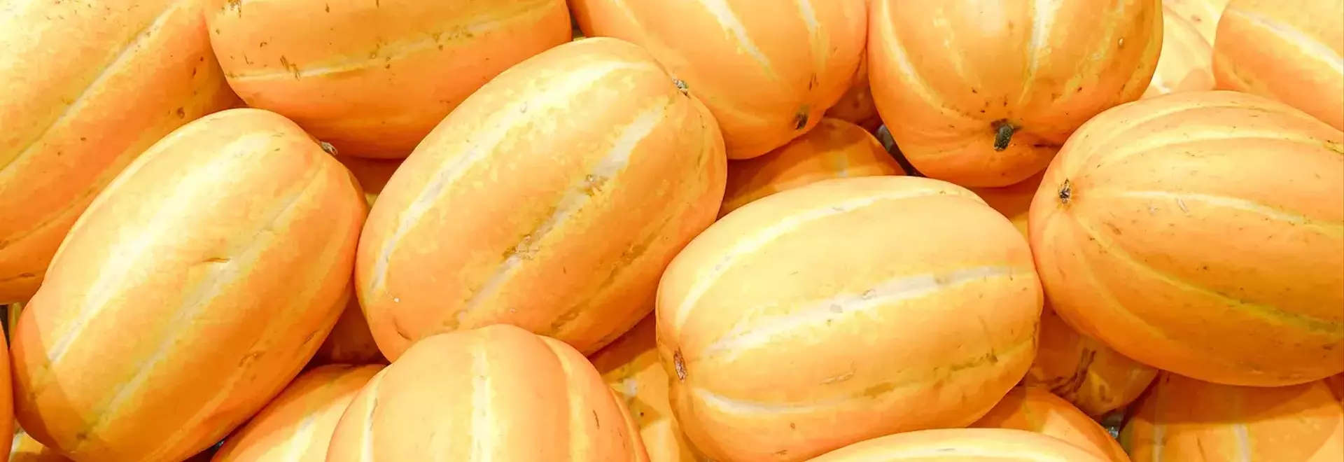 How to Select the Perfect Ripe Melon Using Your Senses