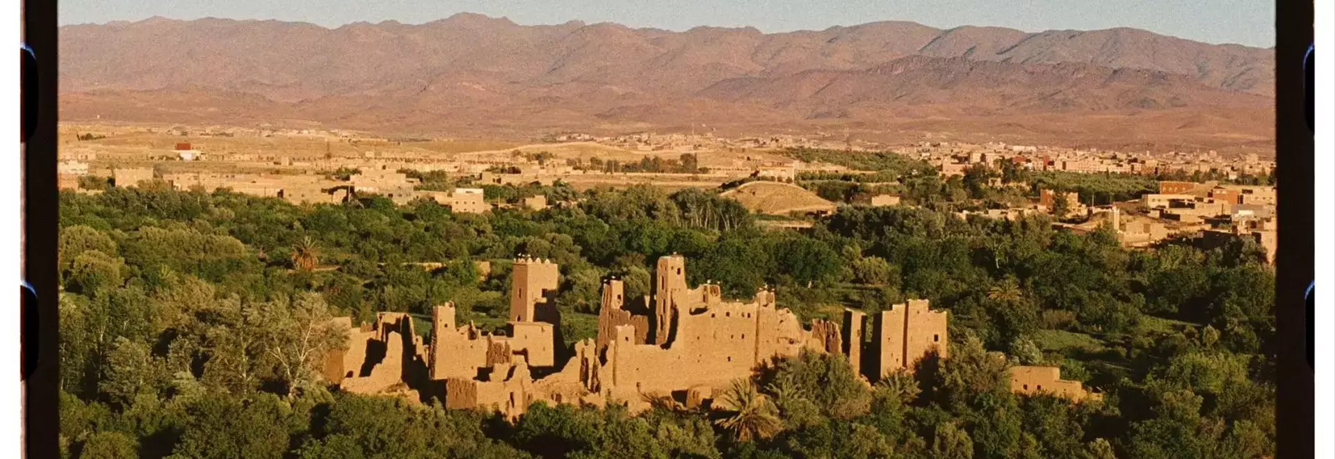 The Enduring Tradition and Evolving Future of Morocco's Rose Valley