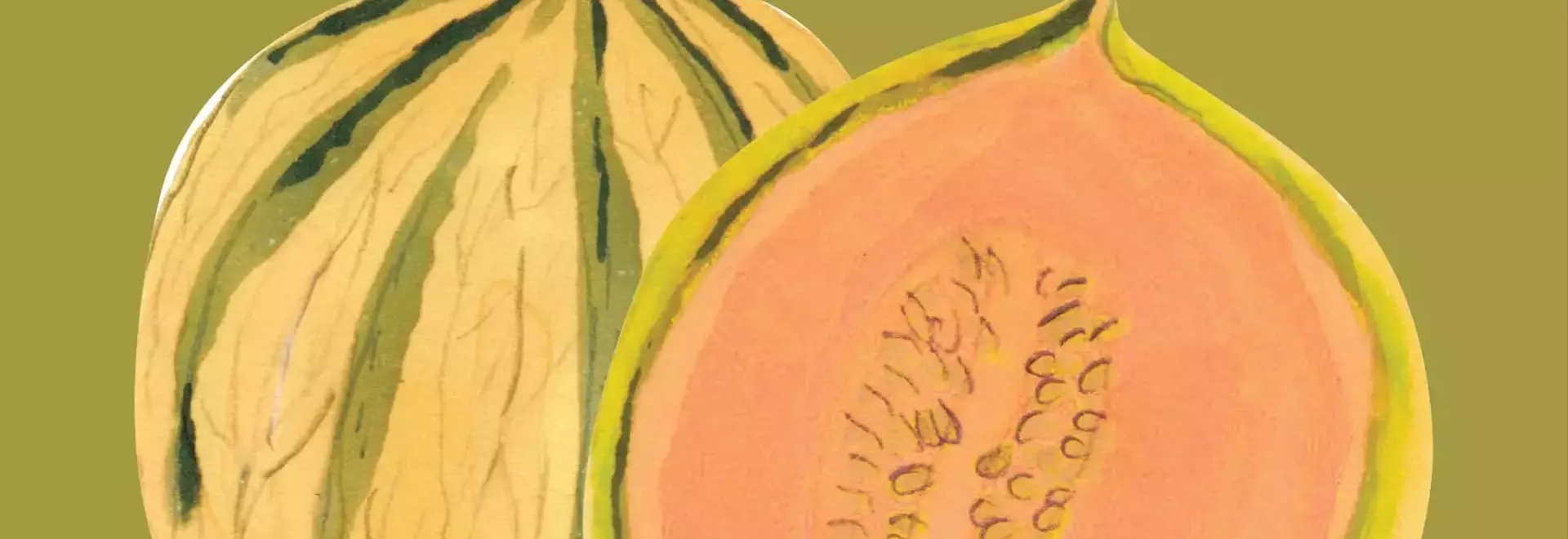 Discovering the Diverse World of Summer Melons