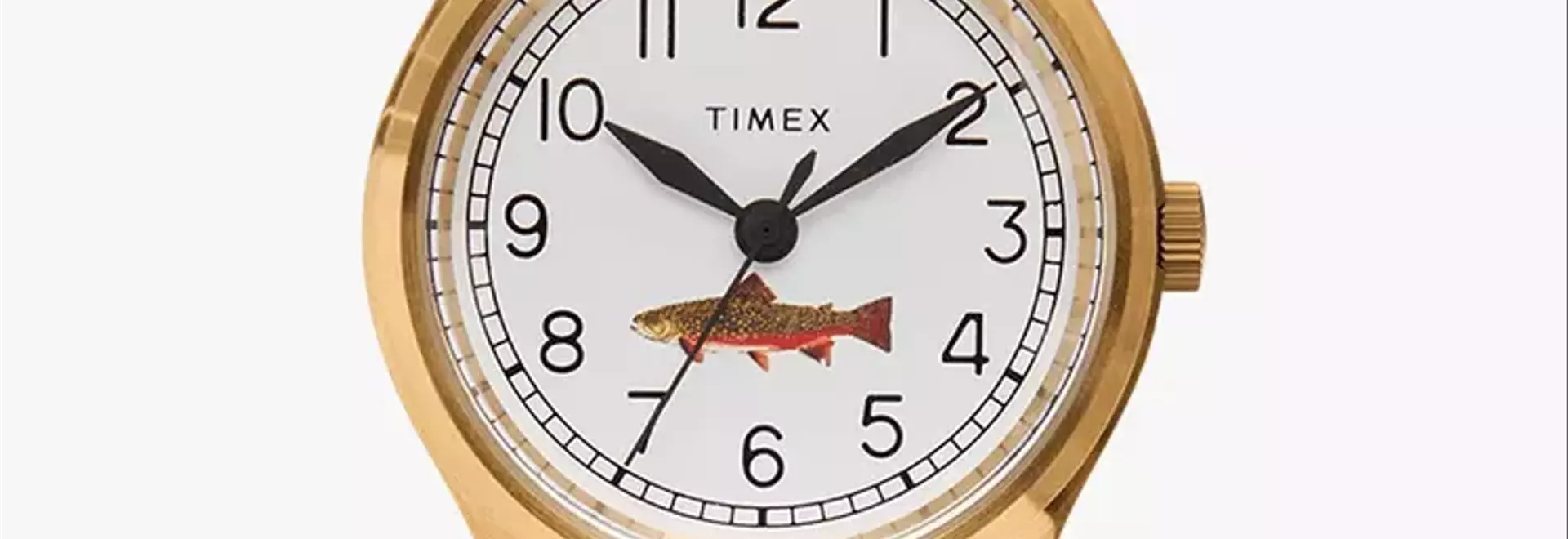 J.Crew and Timex Unveil New Trout-Dial Watch