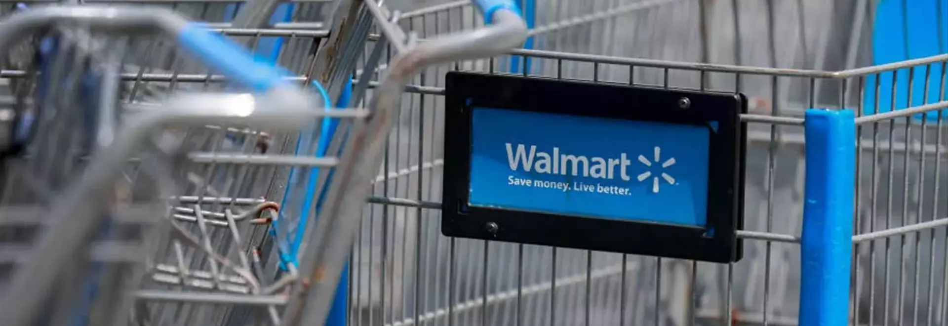 Walmart Slashes Price on Dextrus Outdoor Storage Shed by 30%