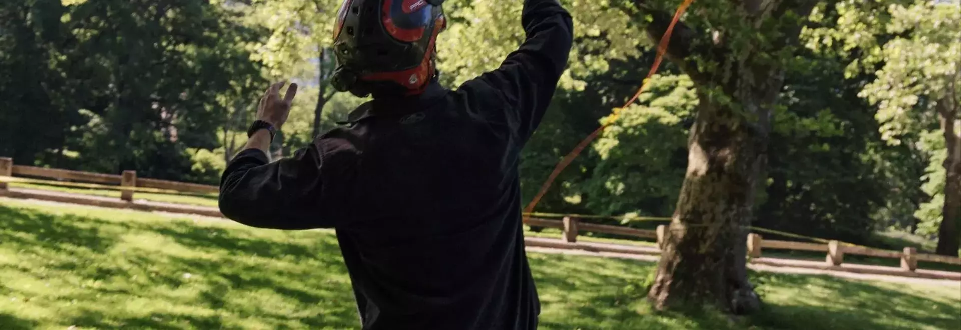 Central Park's Tree Care Team: Unexpected Social Media Stars