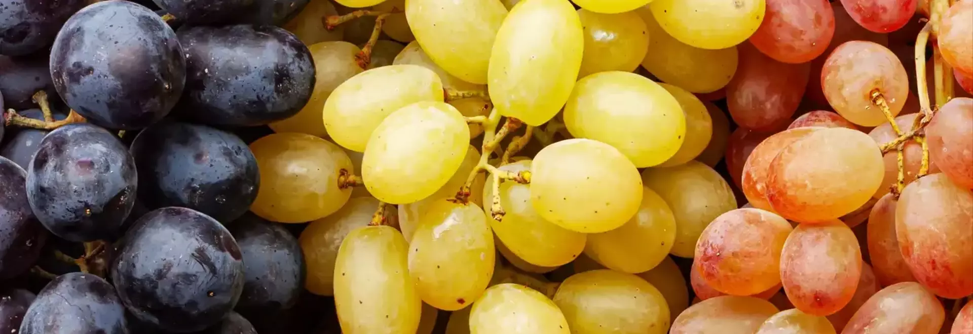 A Comprehensive Guide to Grapes: Varieties, Selection, and Culinary Uses