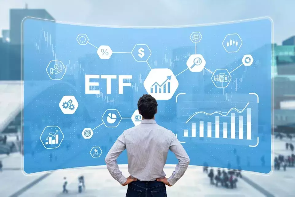 Navigating International Markets: A Comparison of Vanguard ETFs