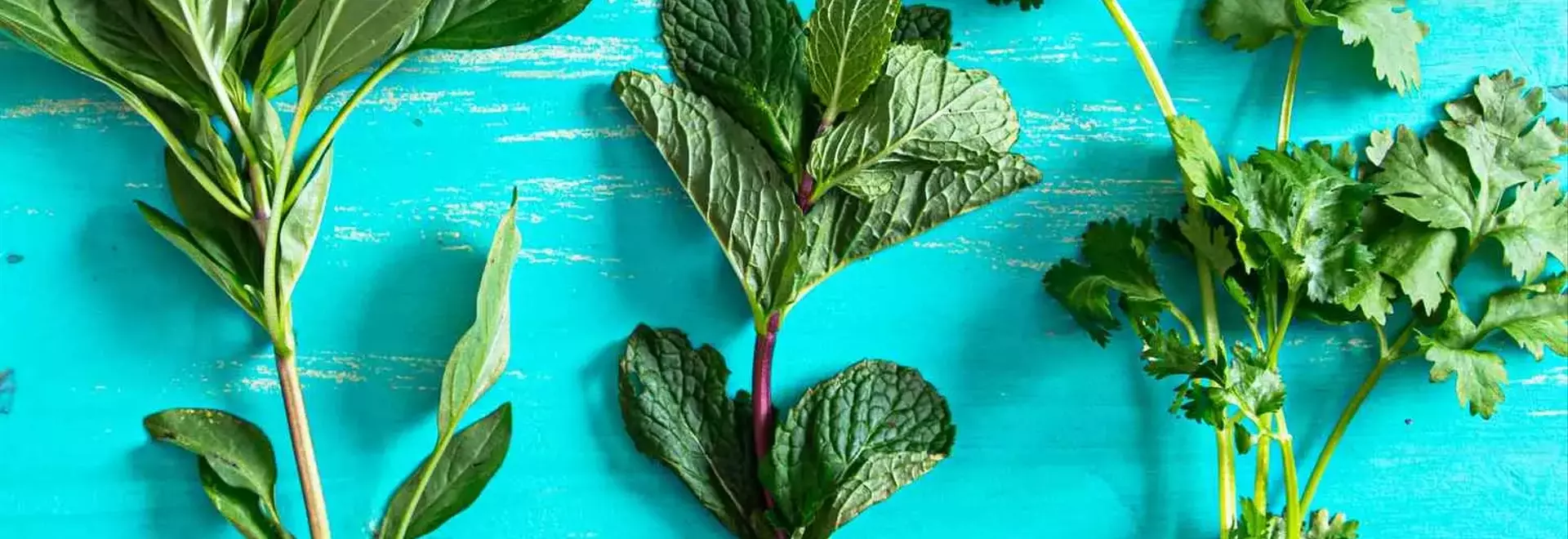 Reviving Wilted Herbs: A Guide to Crafting Flavorful Herb Oils
