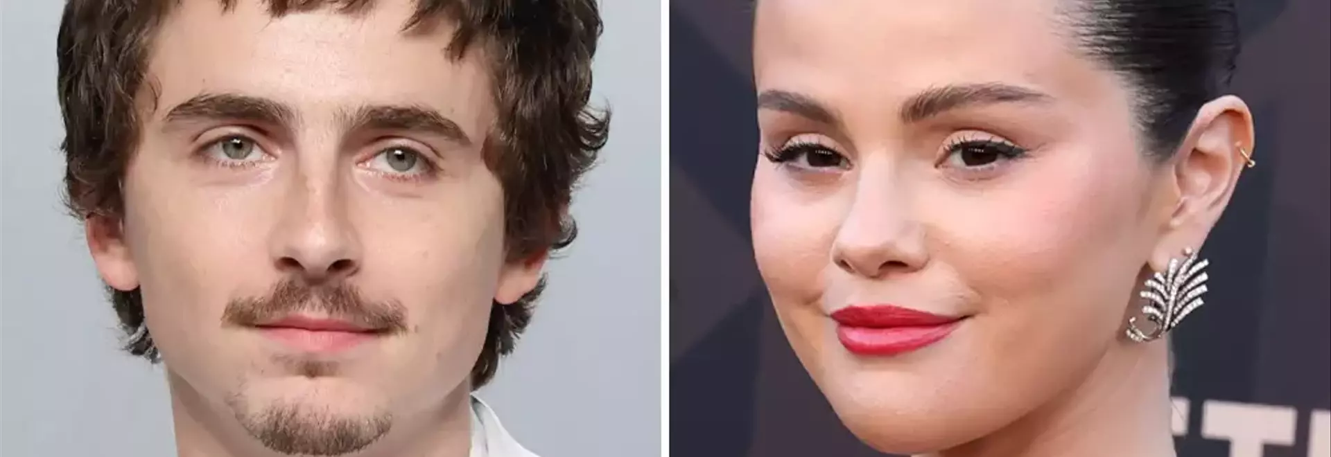 Chalamet and Gomez to Lead Illumination's 'Not Alone' Animated Feature