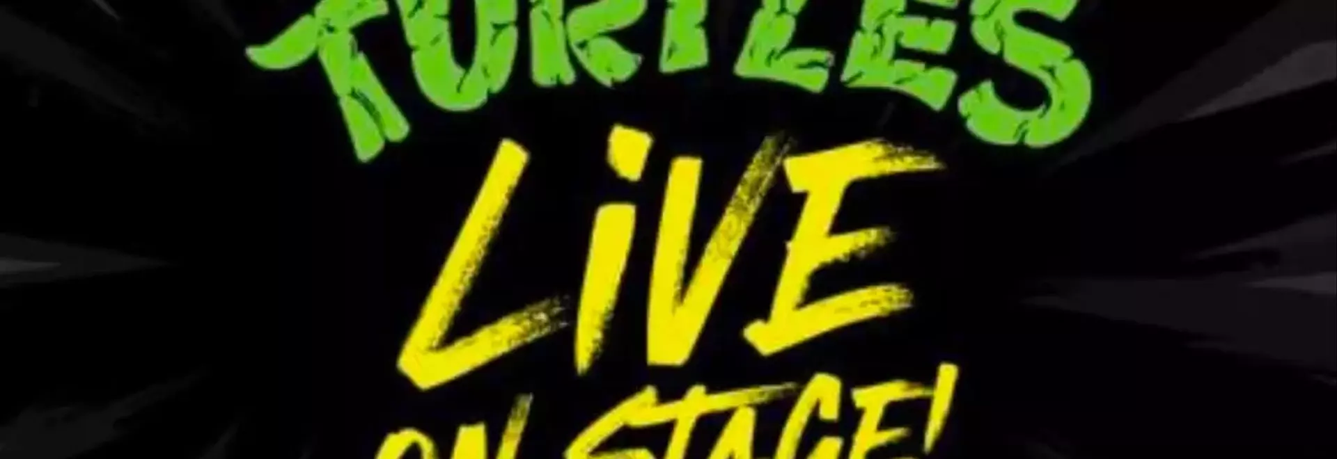 Teenage Mutant Ninja Turtles Live Stage Show Announced for 2027 North American Tour