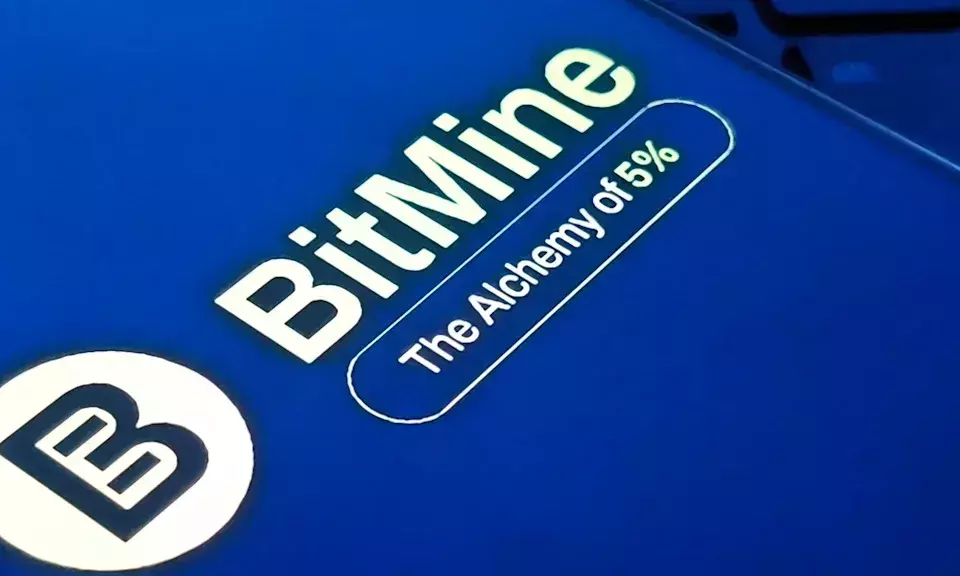 Bitmine's Strategic Ethereum Acquisition Amidst Market Downturn