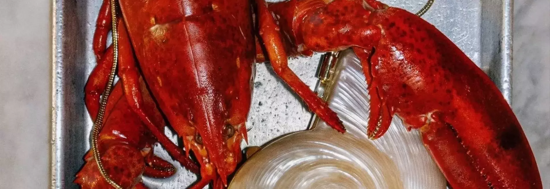 The Enduring Allure of Seashell Accessories in Fashion