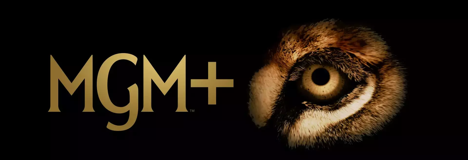 Directors Guild Pension Plan Sues MGM Over Alleged Self-Dealing in Licensing Agreements