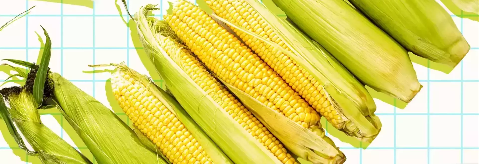Maximizing Sweetness: The Ultimate Guide to Storing Your Corn