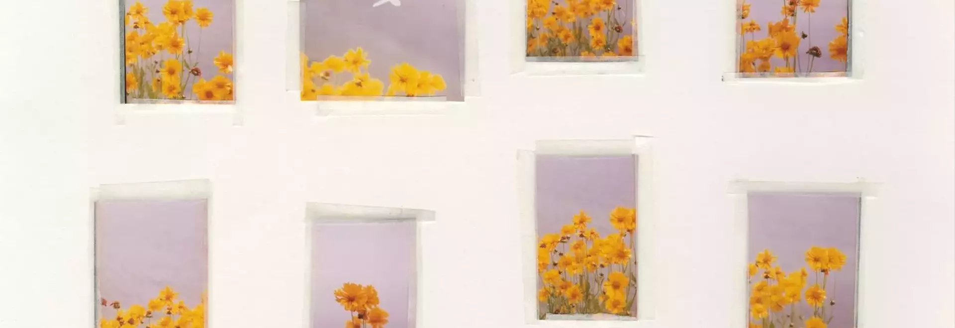 Nico Perez's 'Everything Is Nothing and Nothing Is Everything': A Photographic Journey of Connection and Truth