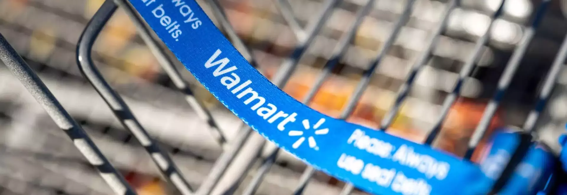 Walmart Slashes Price of Heavy-Duty Metal Carport by 46%