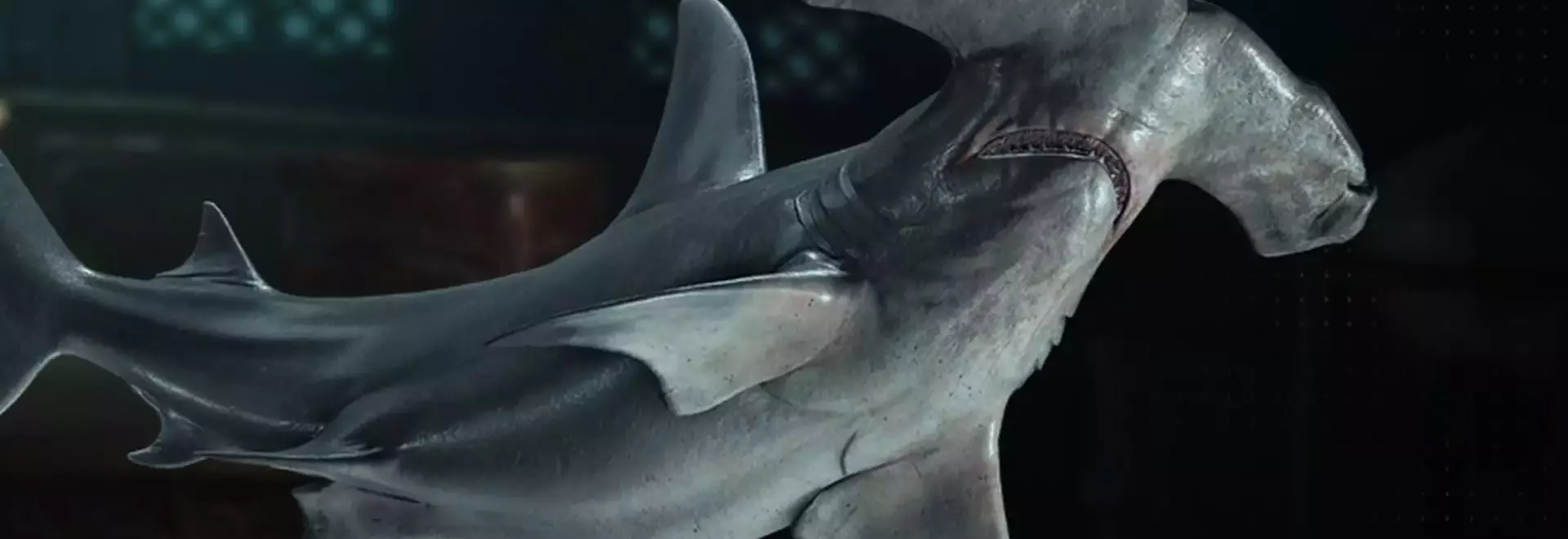 Acquiring Hammerhead Shark Bones in Assassin's Creed Black Flag Resynced