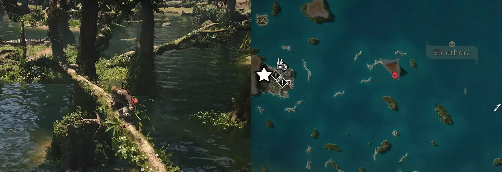 Obtaining Crocodile Leather in Assassin's Creed Black Flag Resynced
