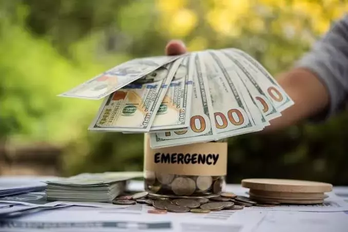 Personal Loans in New Zealand: Understanding Your Borrowing Options