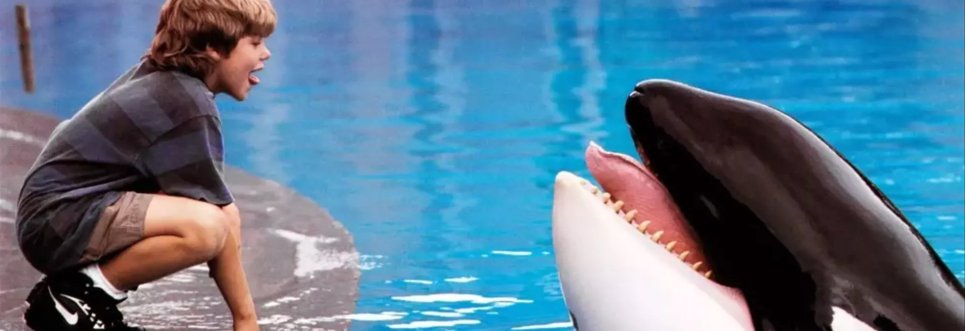 Warner Bros. Developing "Free Willy" Reboot with AGBO Producing