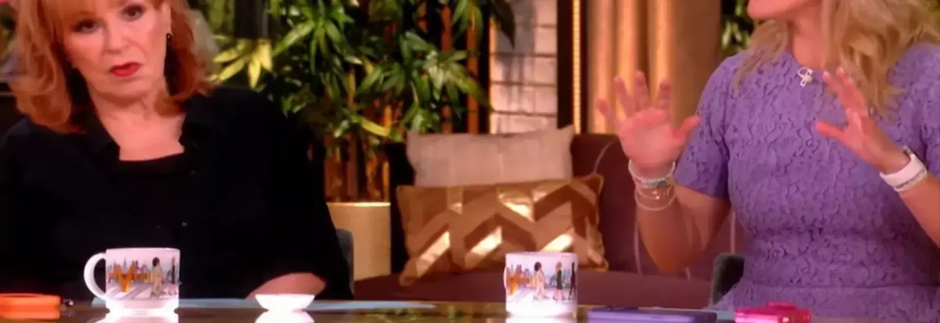 Heated Debate on "The View" Over 2028 Presidential Election and Identity Politics