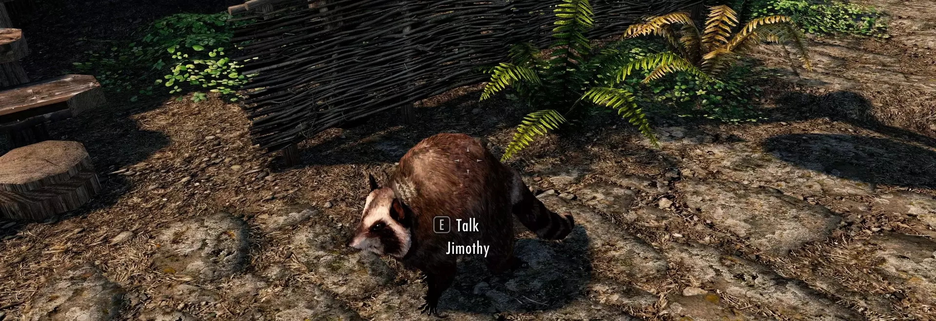 Internet's Favorite Raccoon, Jimothy, Invades Video Games