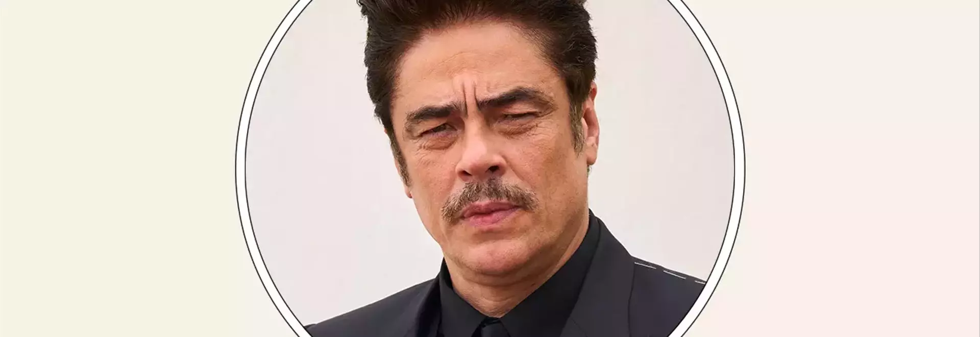Benicio Del Toro Cast in Apple TV's 'Protective Custody' Comedy Series