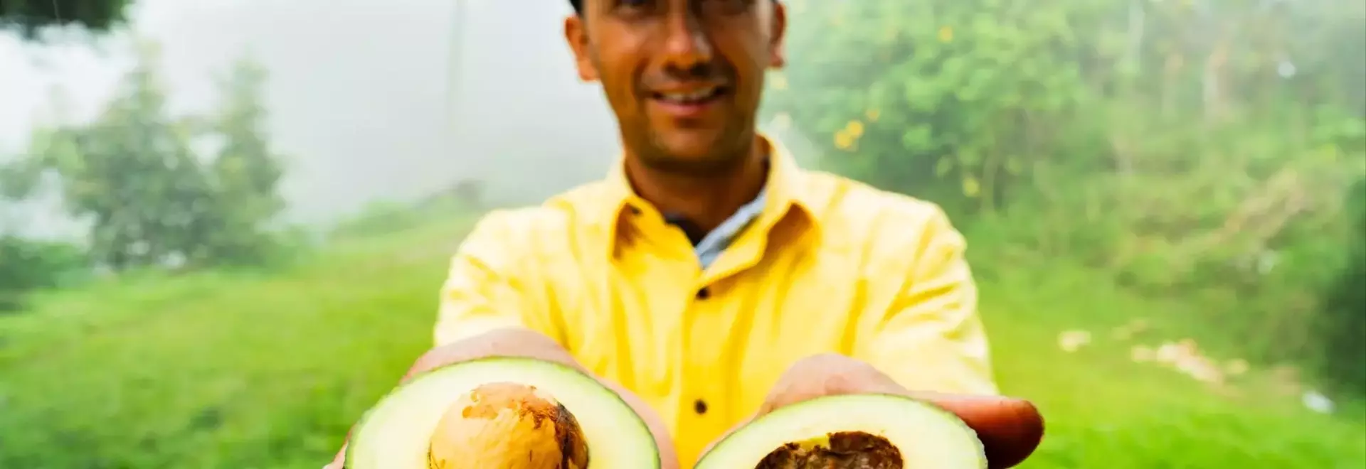 Mission Produce: A Post-Merger Assessment