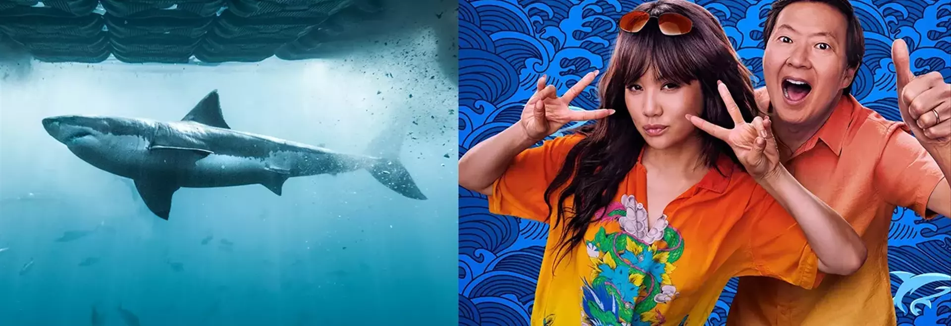 Comprehensive Guide to Watching Shark Week 2026 Online