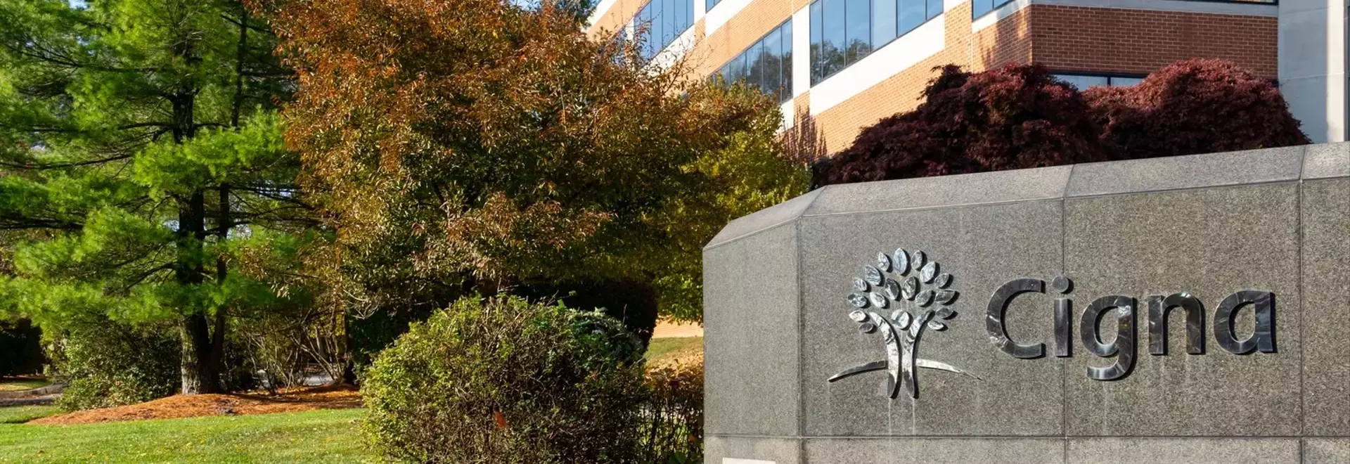 Cigna Faces Headwinds: A 'Hold' Rating Amidst Industry Optimism