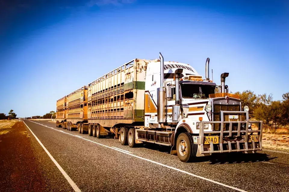 Transportation Sector Performance: A Tale of Two Trends Amid Rising Fuel Costs
