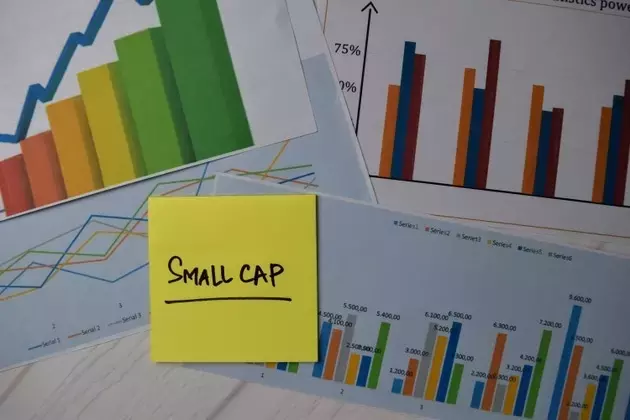 S&P SmallCap 600 ETF (IJR) - A Promising Investment Despite Macroeconomic Headwinds
